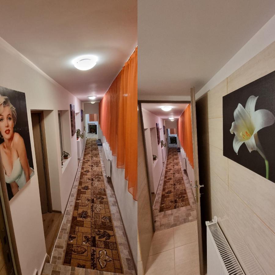 Вилла Roca House Брашов Экстерьер фото